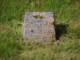 image of grave number 831541